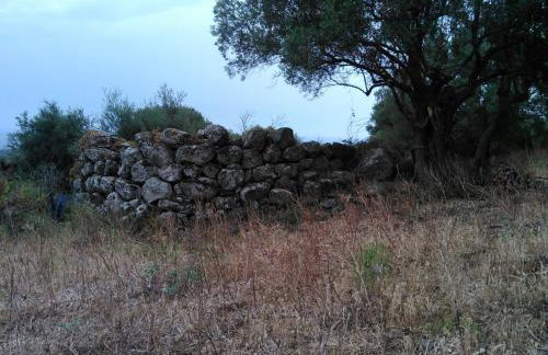 Agriturismo Vistamare - Foto 72