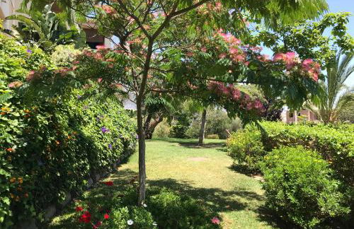 Apartamento Las Brisas - Photo 43