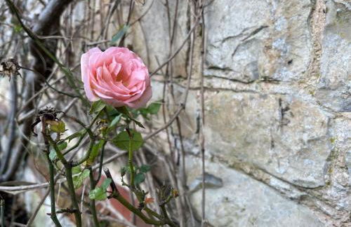 The Old Tractor Shed by inspirestays-com - Foto 42