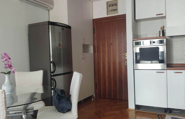 Immaculate Apartment in Center City With Parking - Photo 5