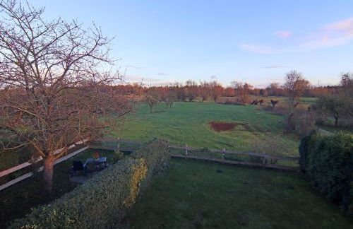 Ferienwohnung in Boltenhagen - Photo 21