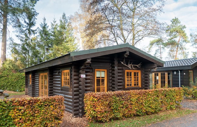 Wooden Chalet with Dishwasher near De Veluwe National Park - Foto 1