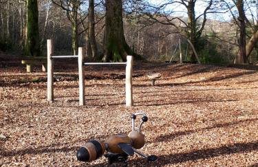 Blue Skies - Foto 39