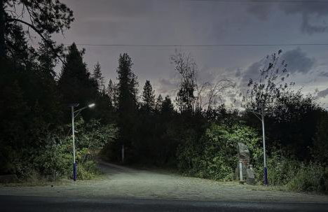 Tranquil Nature Retreat on 12 acres! - Foto 43