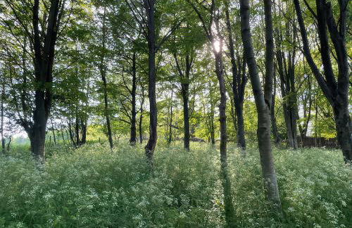Pudding Hill Barn Cottage - Foto 56