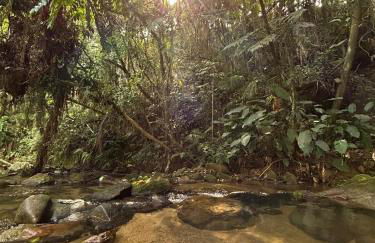 Um chalé e um riacho no meio da natureza - Foto 25