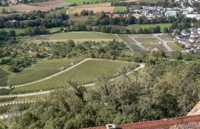 Bottwartal Apartment mit eigenem Eingang, top ruhige Lage, gemütliches Häusle für sich alleine - Foto 25
