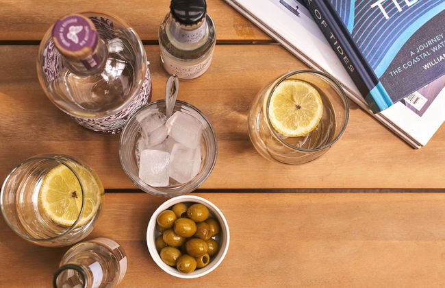 Swifts Return in Lower Ashton - Foto 9