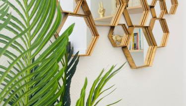 Le somptueux Le Gallia - Foto 3