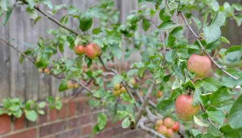 Elizabeth Four Bedroom Townhouse - Foto 5