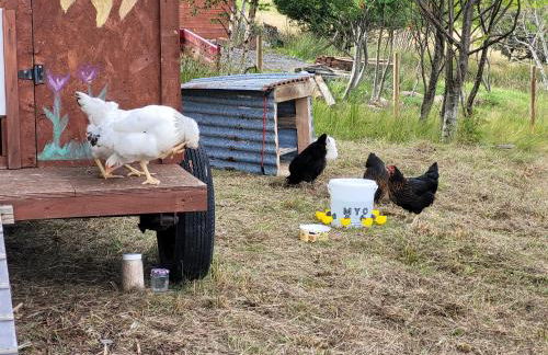 Sound of Durnamuck - Foto 118