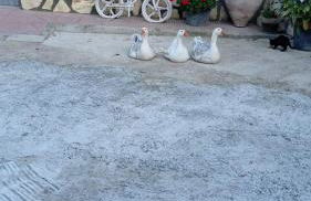 Cueva de la abuela - Foto 37