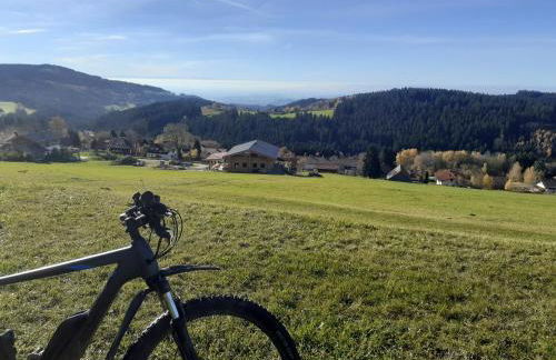 Ferienwohnung Marina in Sankt Englmar, Bayerischer Wald, familienfreundlich - Foto 25