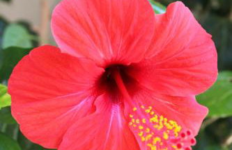 Angelina Apartments - Foto 5