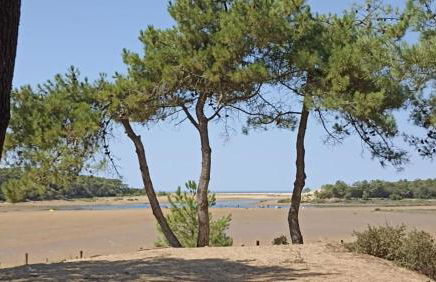 Le Clos de la Guittiere - 6 personnes - Foto 25
