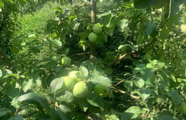 Agro na Wapniarni - Foto 54