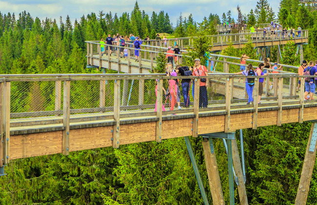 Excursion à Zakopane + Treetop Walk Bachledka - Photo 1