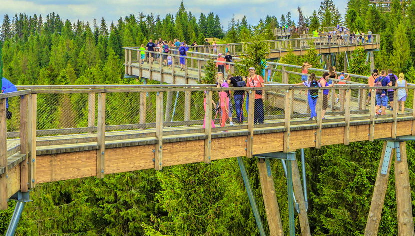 Excursão a Zakopane + Treetop Walk Bachledka