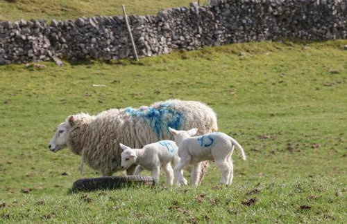 Shepherds Retreat - Foto 18