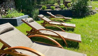 Reethus Rotbuche - Foto 2