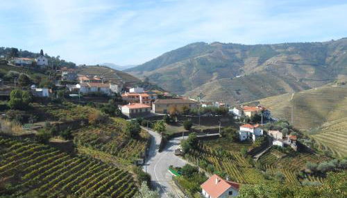 Studio Bibi - Foto 1