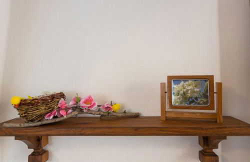 Lancillotto - Photo 13