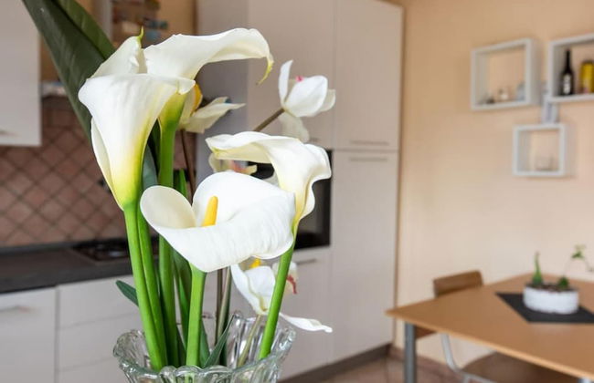 Welcomely - Casa Peppe - Foto 20