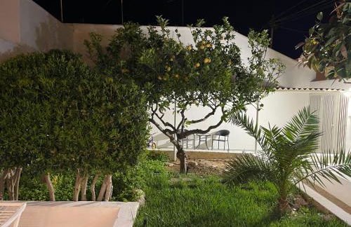 Perla dei Messapi - Foto 48