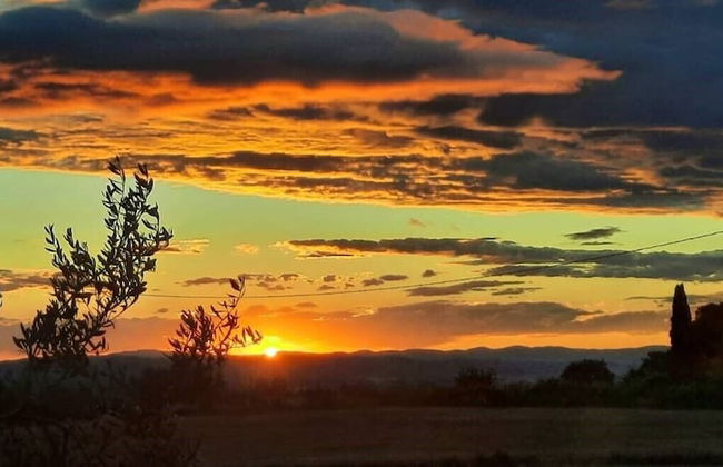 Verdidea - La Palazzina - Photo 49