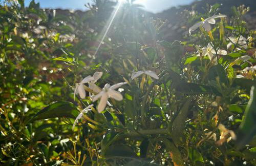 Villa Sole vista mare super panoramica - Foto 52