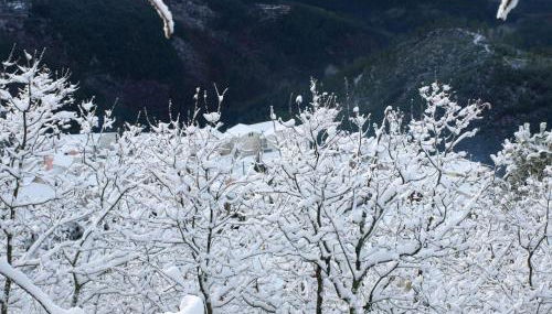 Casas do Soito - Foto 2