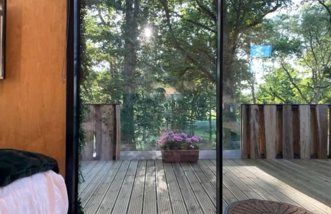 Luxury Cabin in the Woods - Foto 5