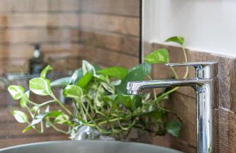 Olive Lemon Biophilic House & Lush Forest Garden - Foto 18