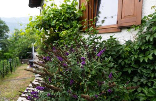 cottage lavanda e rosmarino - Foto 72