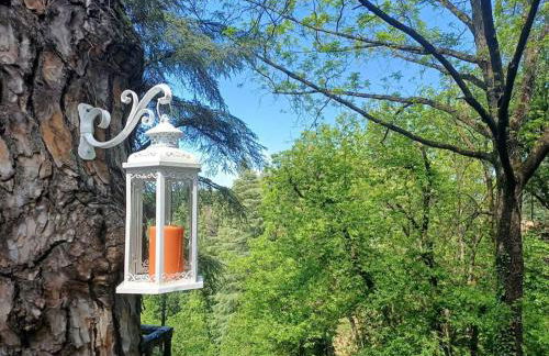 LA BARCA NEL FRUTTETO Natura e relax in collina - Foto 11