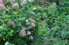 Zakątek u Poety Dąbrówka - Foto 78