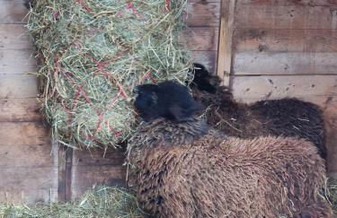 Gite Clos Angelique - Foto 42