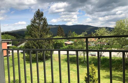 Ferienwohnung im Dreiländereck - Foto 6