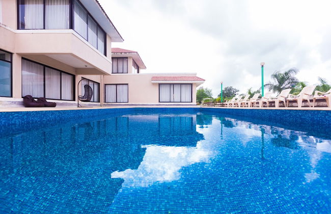 Shetty Farms - Foto 65