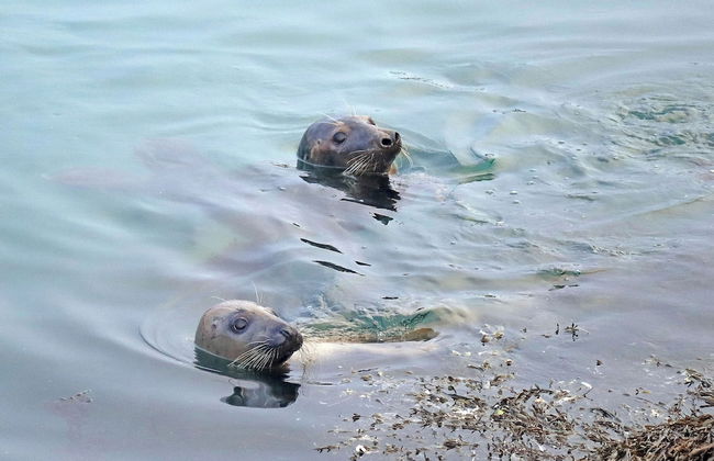 Devoncoast Seaview Apartments - Foto 42