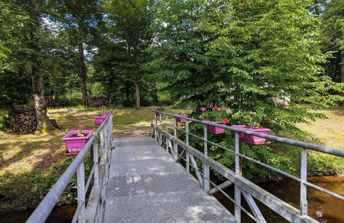 Île privée en Berry, nature et pêche, chauffage central - FR-1-591-593 - Foto 29