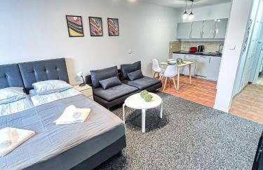 Skandi Studio - Foto 1