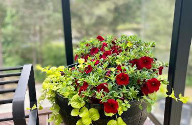 Mielno Enklawa 28 - Foto 42