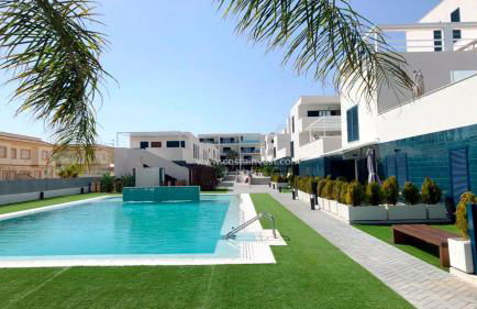 Palmview Poolside Heaven in Turquesa del Mar - Foto 1