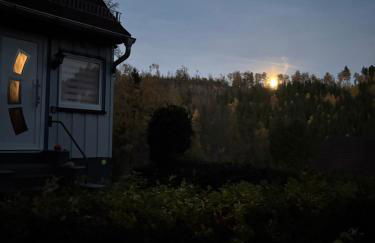 Ferienhaus Talblick, im Luftkurort Finsterbergen - Photo 8