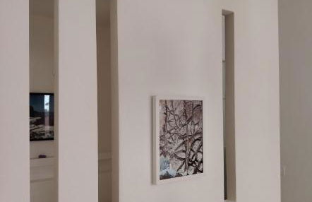 Casa Polixeni - Da e Nònne - Photo 12