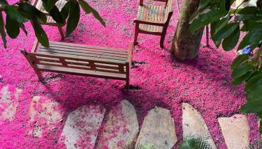 Village Serra Grande - 202 - Foto 5, Garden