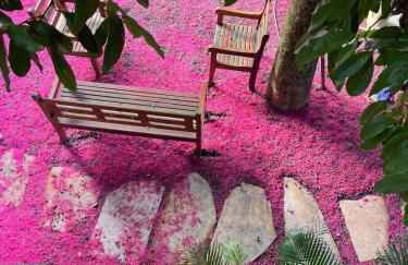 Village Serra Grande - 202 - Foto 5