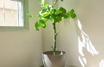 Hasta para 6 viajeros, Luz Natural Cocina Equipada - Foto 68