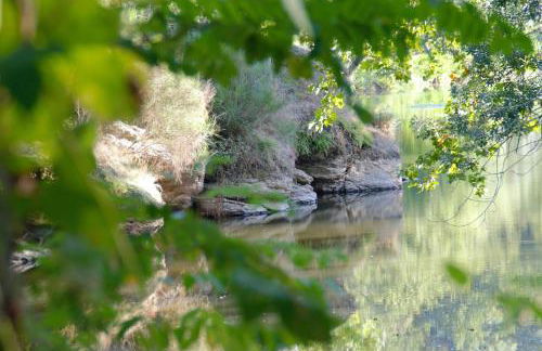 Le Moulin Neuf - Photo 30